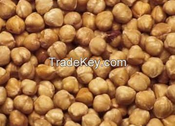 Organic Conventional Hazelnuts