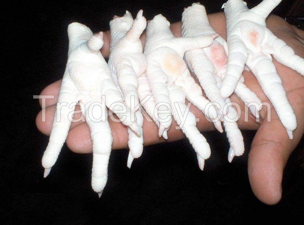 fresh chicken eggs