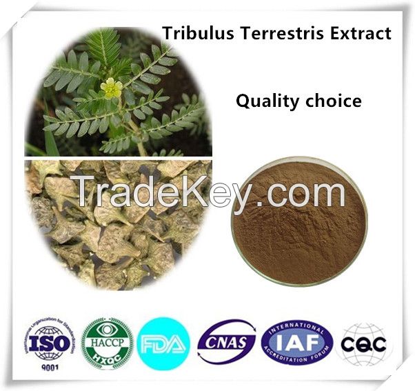 Tribulus terrestris extract