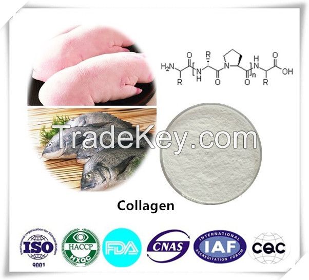 Collagen