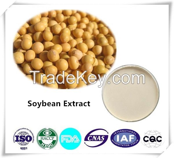 Soybean Extract 