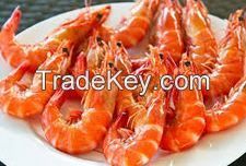 Best Quality Sea Food Prawns &amp; Canned Fish