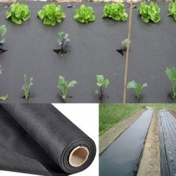 17gsm UV pp non-woven cloth rolls for gardening cover &amp; crop cover &amp; greenhouse cover &amp; agriculture nonwoven cloth rolls 