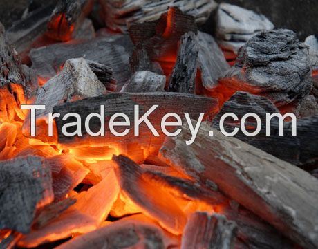 Lump Shape Charcoal For BBQ / Restaurant