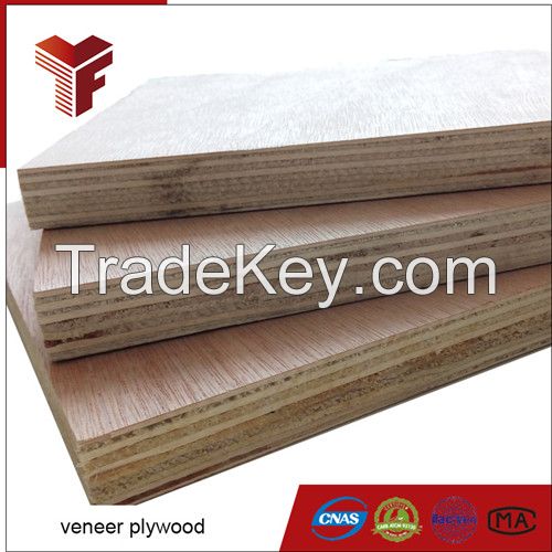 Best price 12mm birch plywood sheets and veneer plywood