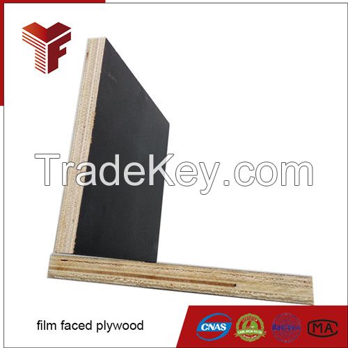 18mm Film Faced Plywood / Consturction Plywood Black Color