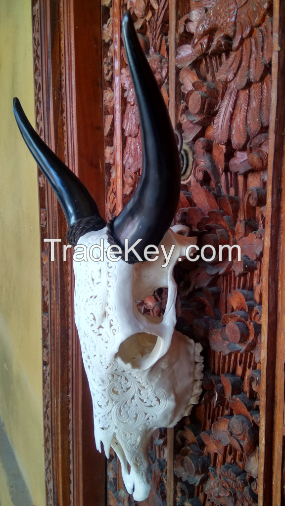 Balinese Hand Carved Cow Skull.