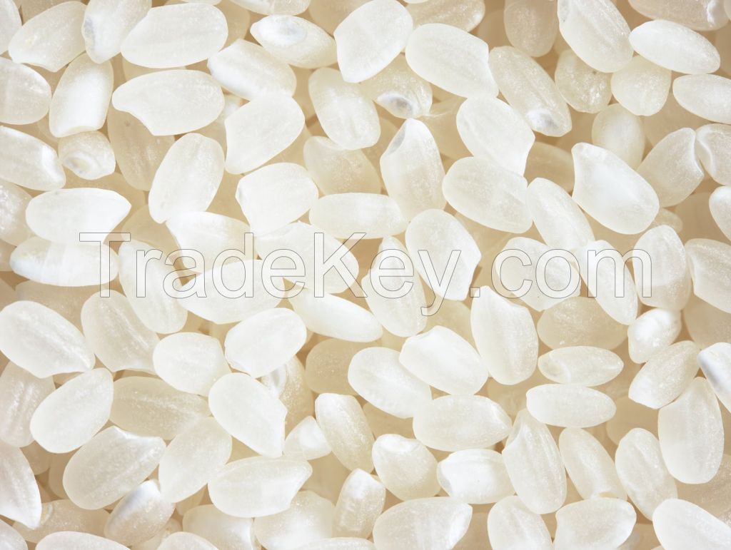 Vietnam Japonica rice