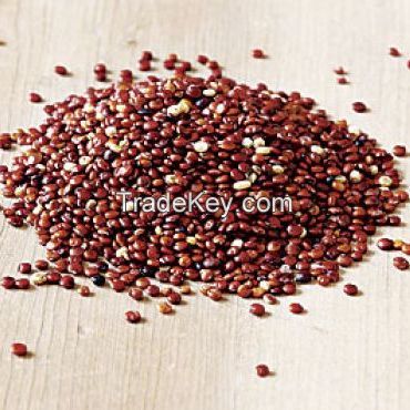 Golden and Red Quinoa