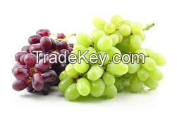 Fresh Grapes