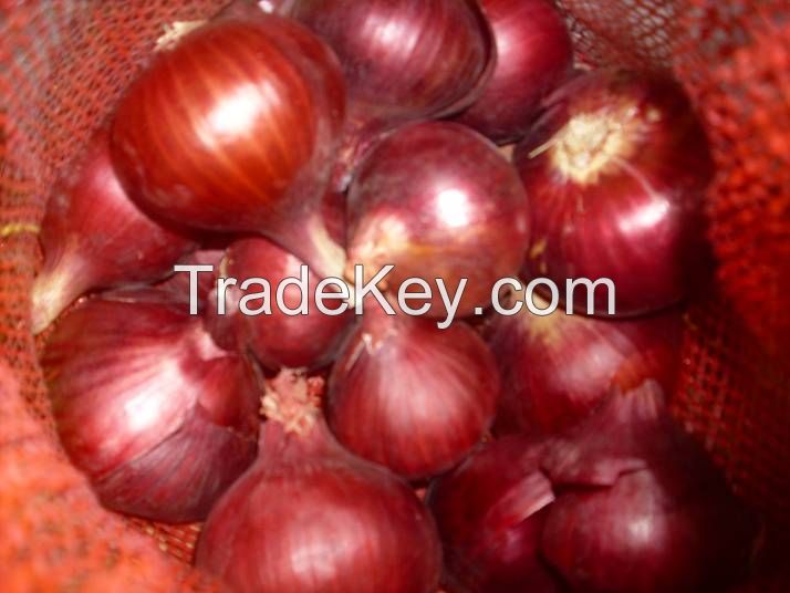 Red Onions