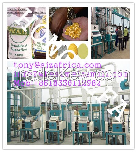 Good quality hot selling maize milling machine/maize mill