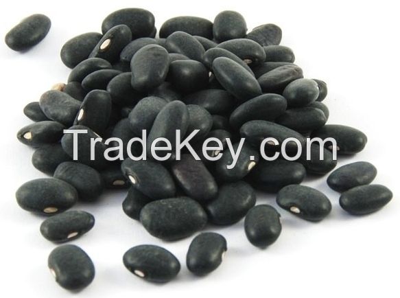 Black Kidney Bean