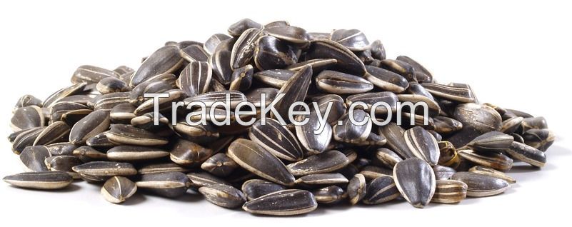 Sunflower Seeds