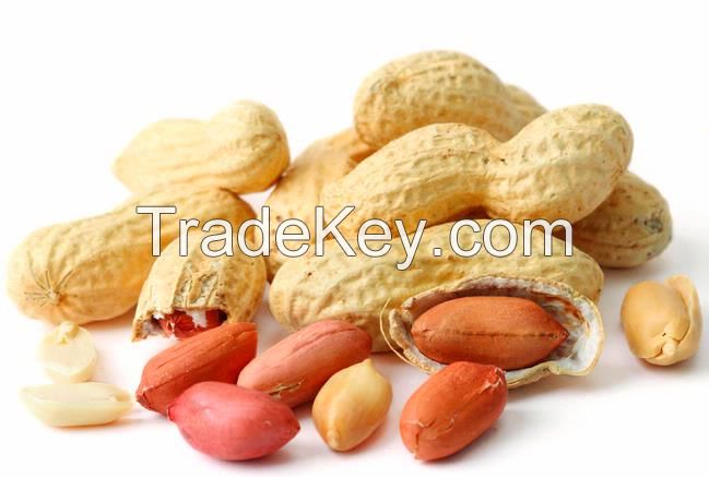 Roasted Peanuts in Shell