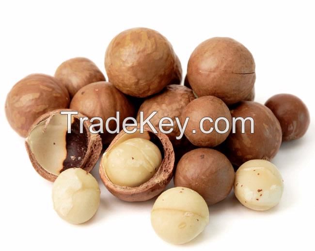 High Quality Macadamia Nuts