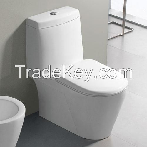 Sensor Toilet