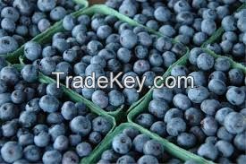 Canadian Blueberry