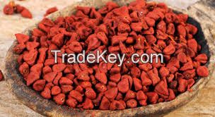 High quality and Fresh Organic Annatto Seeds