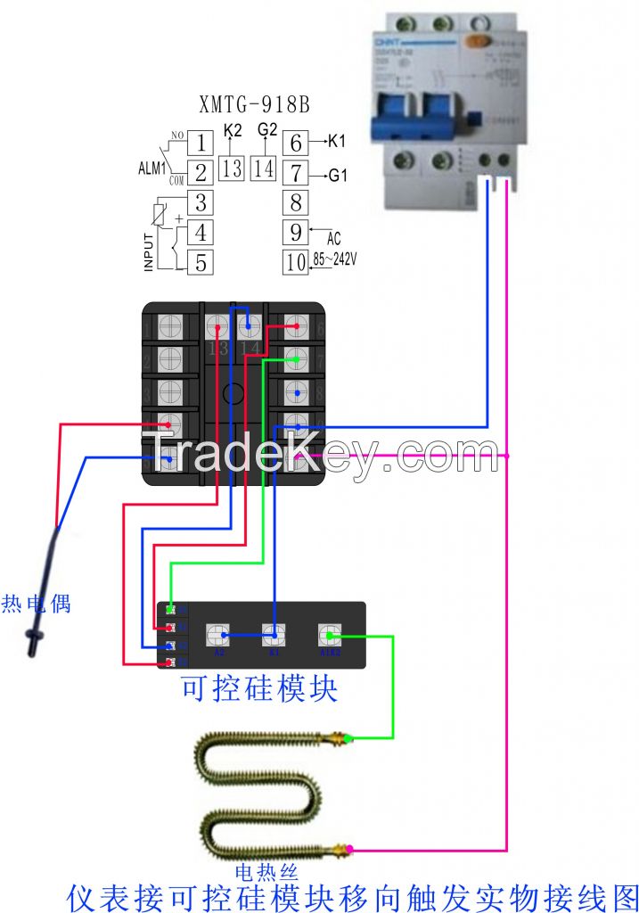 Temperature Controller with 4-20mA (XMTG-908)