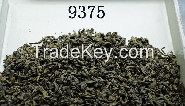 China Green Tea Gunpowder 3505A- 9375 - 9575- 9380