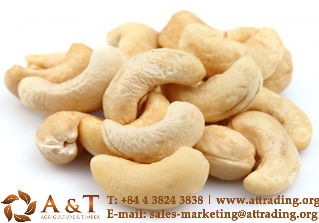 Cashew Nuts Good Quality and Cheap Price