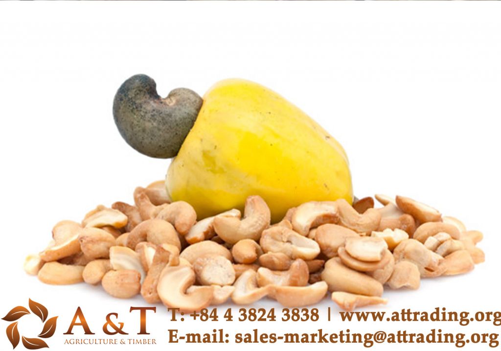 Raw Cashew Nuts/ Cashew Kernels/ WW320/450/240/SW/BW/LBW/LP/SP