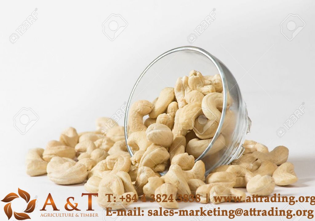 Premium Quality Cashew Nut Kernels W320, W240