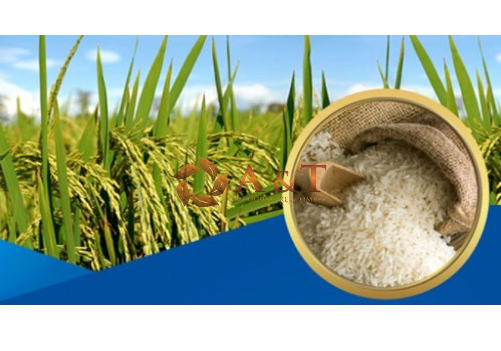 Vietnam Long Grain Rice