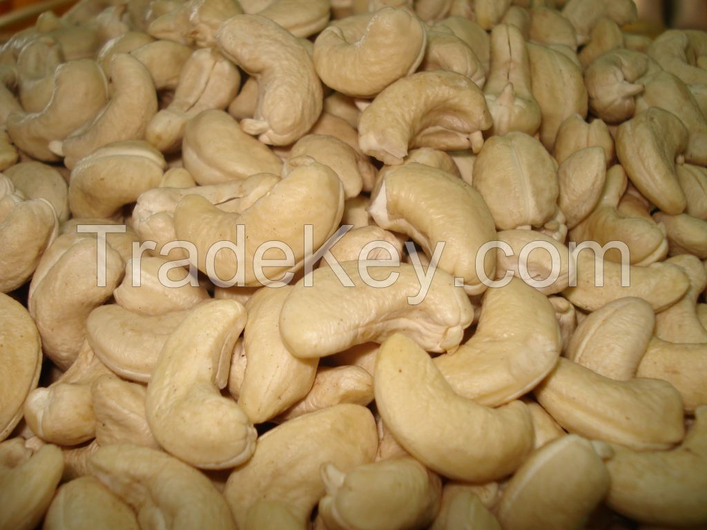   Best Price Cashew Nuts Kernels W240, W320, W450 in Vietnam