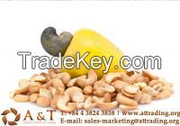   Cashew Nuts Kernels best offer from Vietnam