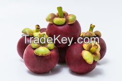 Thai Mangosteen