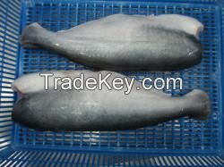 Frozen Pangasius HGT