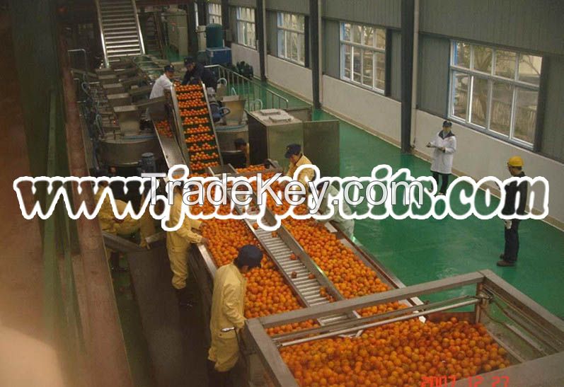 food processing line