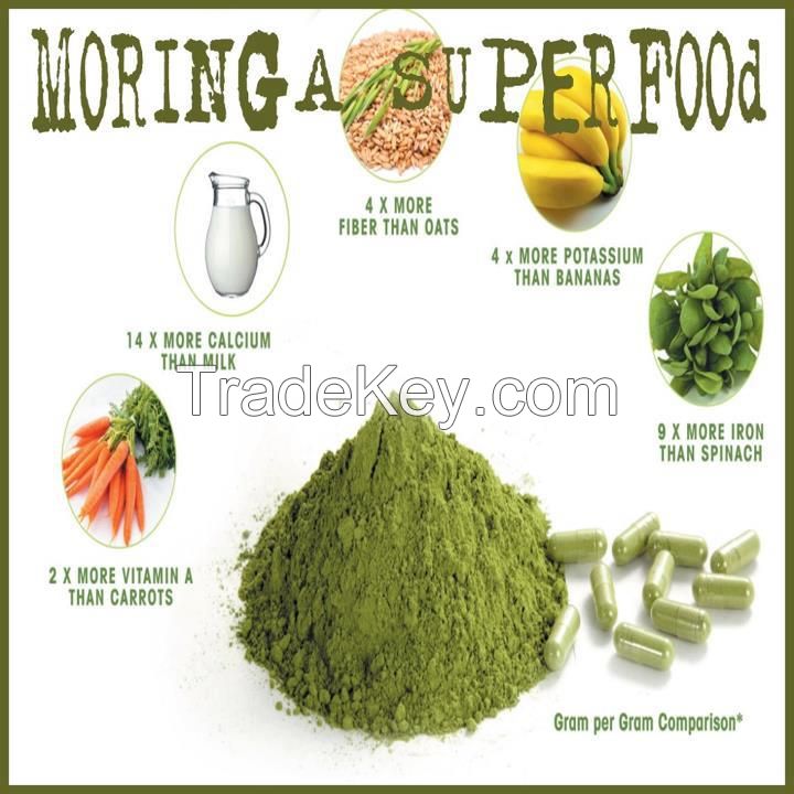 moringa oleifera 