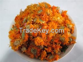 Calendula