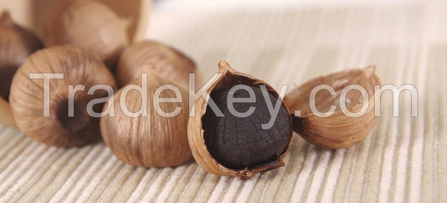 Heathy black garlic