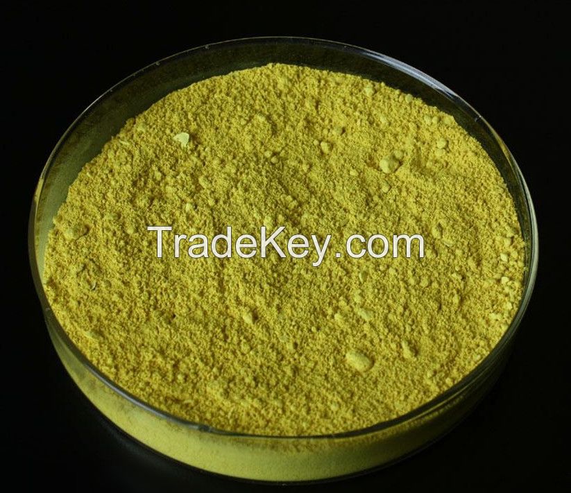 Comptitive Price Quercetin Powder