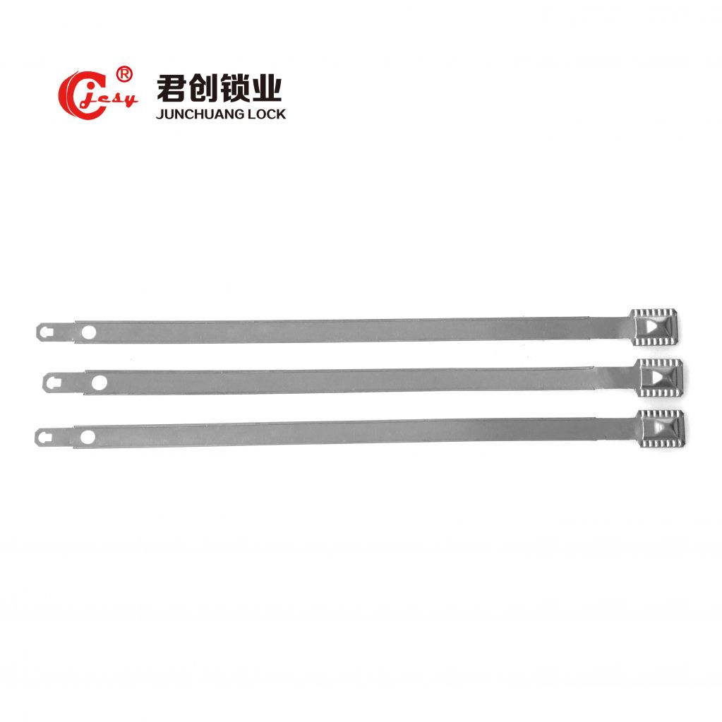 truck metal strip seal JCSS001