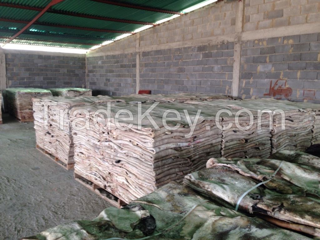 100%  Wet and dry Salted Donkey Hides