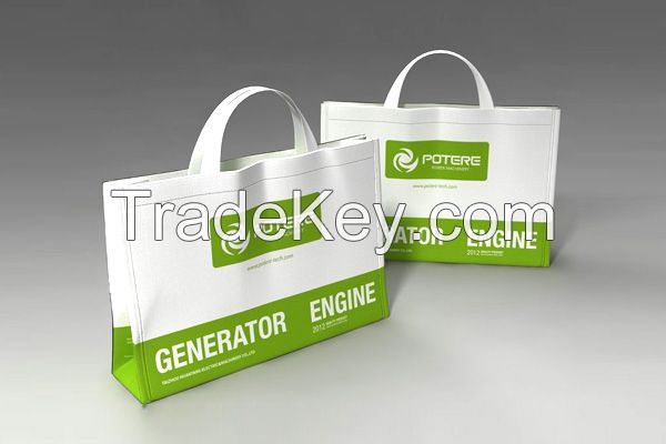 Laminated Nonwoven Shopping Bag/ PP Woven Shopping Bag/ Wholesale Cheap Shopping Bag