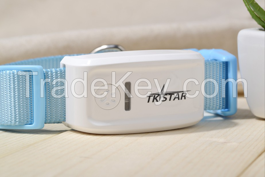 Wholesale TKSTAR Pet GPS Tracker TK909 with free tracking platform