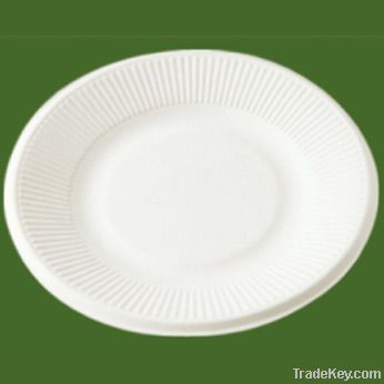 paper plate