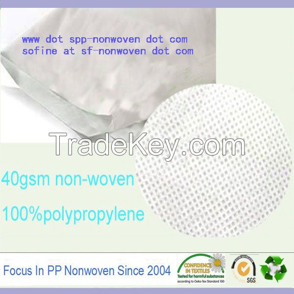 Hydrophilic nonwoven fabric