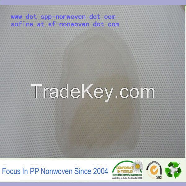 Hydrophilic nonwoven fabric