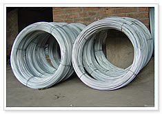 Galvanized Iron Wire