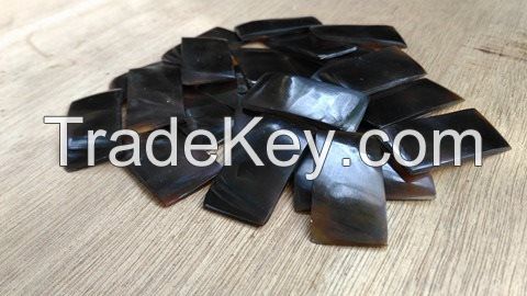 Sea Shell Inlays