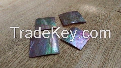 Sea Shell Inlays