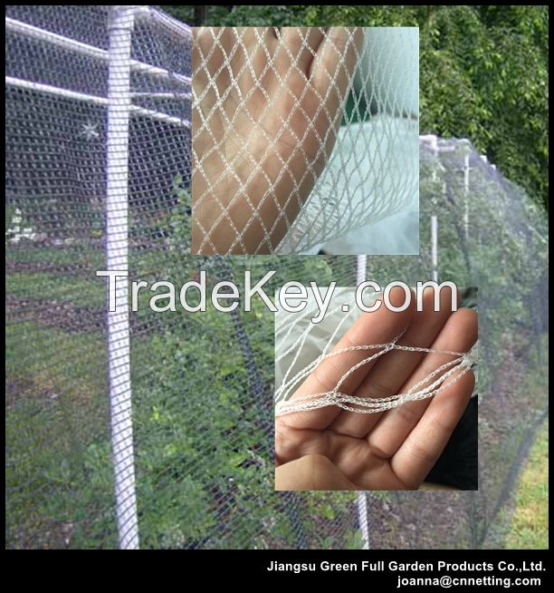  See larger image Plastic agriculture anti bird net bird aviary mesh net for sale Plastic agriculture anti bird net bird aviary mesh net for sale Plastic agriculture anti bird net bird aviary mesh net for sale Plastic agriculture anti bird net bird aviary