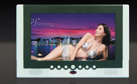 digital photo frame with TV